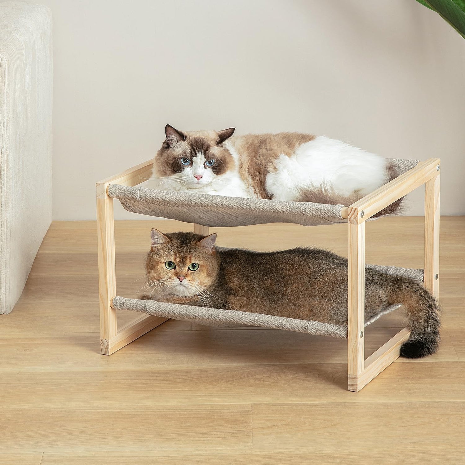 Cat Beds