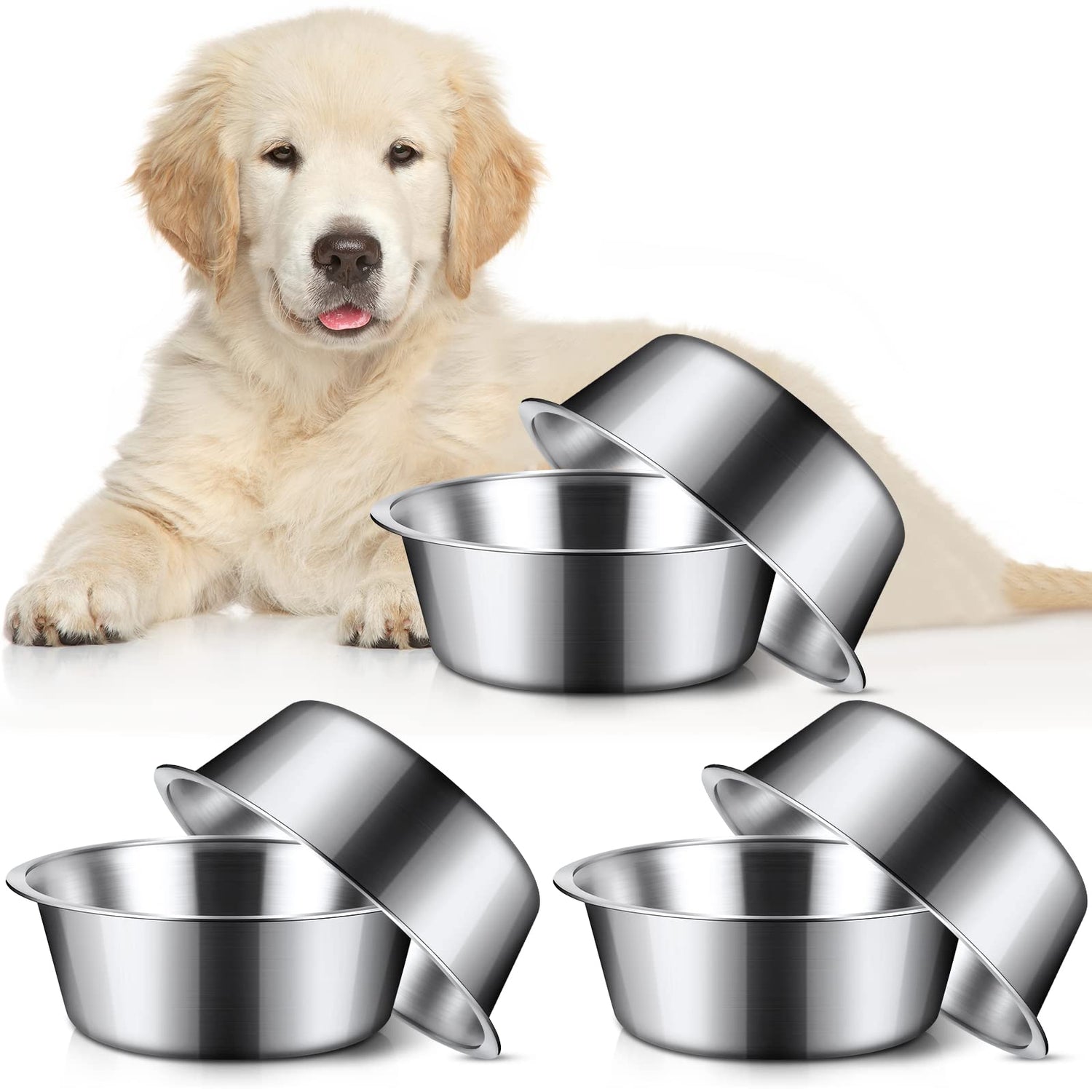 Dog Bowls